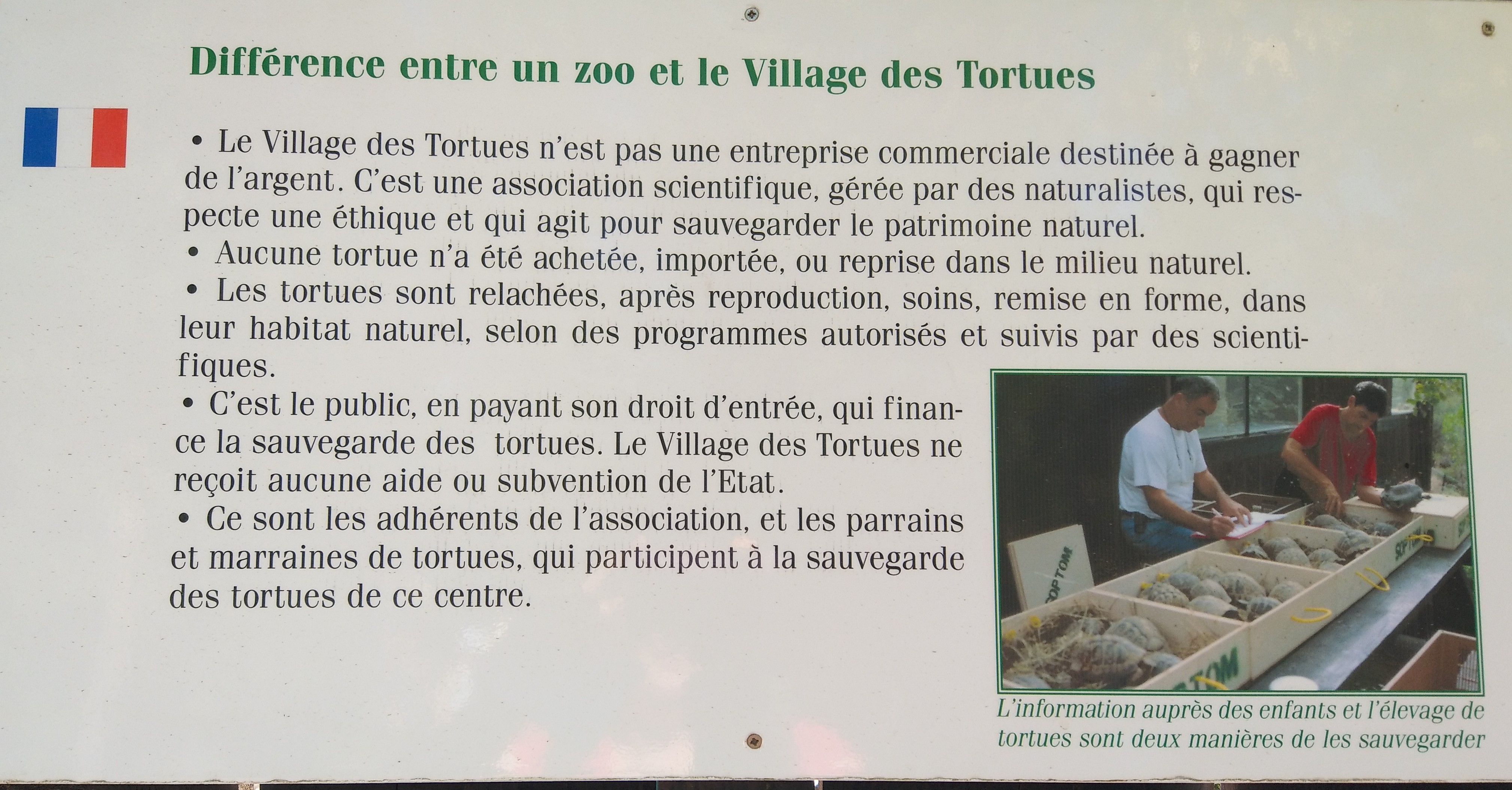 Différence entre zoo et village des tortues